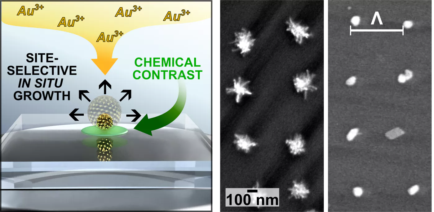 Direct in situ growth of nanoparticle arrays